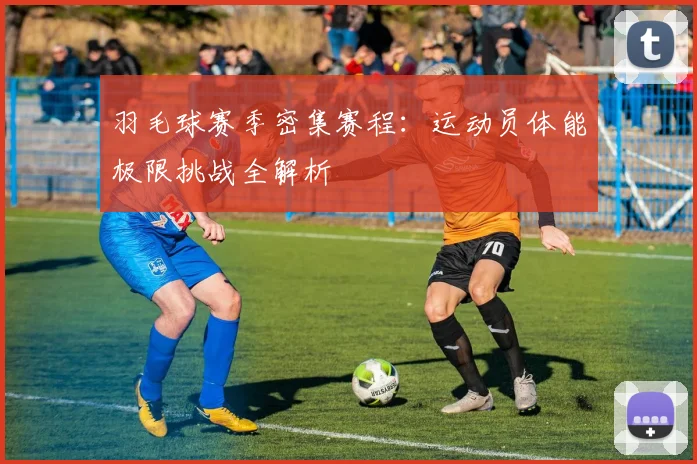 羽毛球赛季密集赛程:运动员体能极限挑战全解析